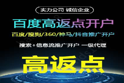 百度竞价赚钱的技巧与成功案例探讨